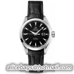 Omega Seamaster Aqua Terra Automatic Watch 158590V