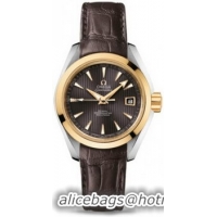 Omega Seamaster Aqua Terra Automatic Watch 158590G