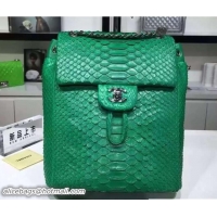 Classic Hot Chanel Python Backpack A91123 Green