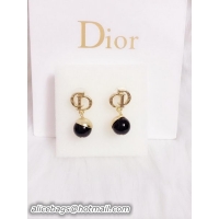 Classic Dior Earring...