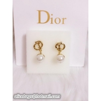 Ladies Dior Earrings...