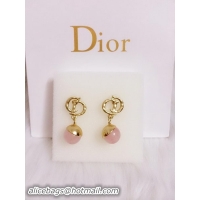 Hot Sell Dior Earrin...