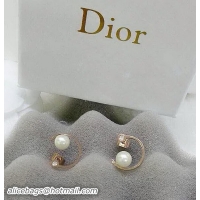 Stylish Dior Earring...