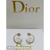 Classic Dior Earring...