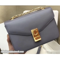 Fashion Celine Shiny Calfskin Medium C Bag Gray 187253 2019