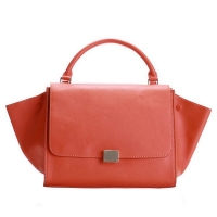 Newest 2012 Celine T...