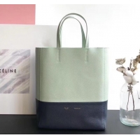 Perfect Celine Small Cabas Shopping Bag in Grained Calfskin 189813 Pale Green/Black 2019