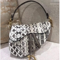 Perfect Dior Python Saddle Bag 500628