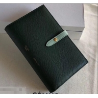 Good Product Celine Bicolour Large Strap Multifunction Wallet 608011 Dark Green/Pale Green