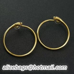 Market Sells CELINE Earrings CE2350