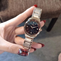 Elegant Dior Watch D20373