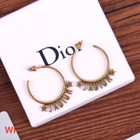 Classic Dior Earrings CE4266