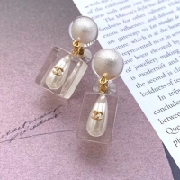 Luxury Chanel Earrin...