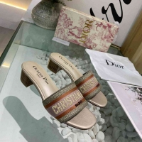Reasonable Price Christian Dior Slippers For Women #738076