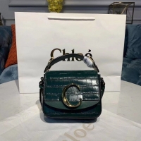 Modern Classic Chloe Original Crocodile skin Leather Top Handle Small Bag 3S030 Green