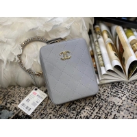 Most Popular Chanel Original Small Sheepskin camera bag AS1753 grey