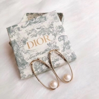 New Style Dior Earrings CE4900