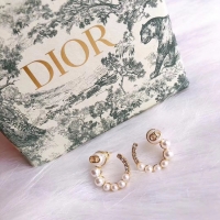 AAAAA Dior Earrings CE5026