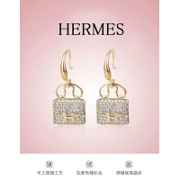 Sumptuous Hermes Earrings CE5627