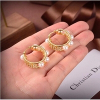 Buy Discount Dior Earrings CE6556