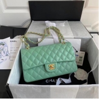 Well Crafted Chanel classic handbag Lambskin & gold Metal A01112 light green