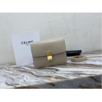 Market Sells Celine ...