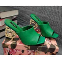 Unique Grade Dolce & Gabbana DG Calf Leather Slide Sandals 10.5cm 111515 Green/Gold