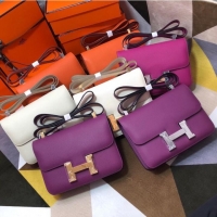 Famous Brand Hermes Original Espom Leather Constance Bag 5333 purple