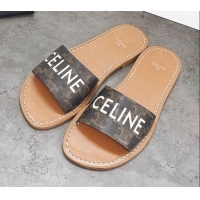 Classic Practical Celine Triomphe Canvas Slide Sandals 060836 Brown