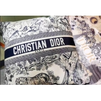 Promotional Dior Lar...