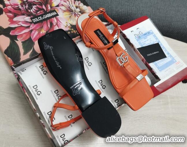 Unique Style Dolce & Gabbana DG Calfskin Sandals Orange 042203
