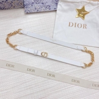 Classic Dior Belt 15...