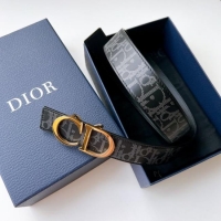 Charming Dior Belt 3...