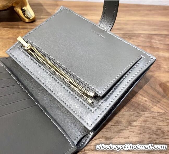 Pretty Style Celine Grained Calfskin Medium Strap Multifunction Wallet CE0201 Grey