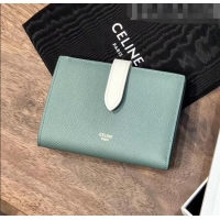 Top Quality Celine Grained Calfskin Medium Strap Multifunction Wallet CE0201 Light Green/White