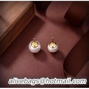 Top Quality YSL Earrings CE7823