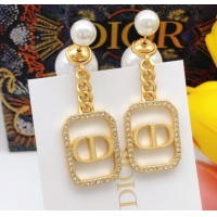 Reasonable Price Dior Earrings CE8099