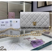 Well Crafted CHANEL WALLET ON CHAIN AP1450 light gray