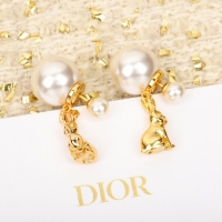 Top Grade Dior Earri...
