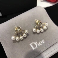 Luxury Dior Earrings...