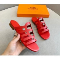 Sumptuous Hermes Cam...