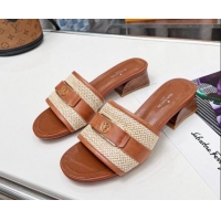 Most Popular Louis Vuitton Sienna Heel Slide Sandals 4cm in Raffia and Leather Brown 022453