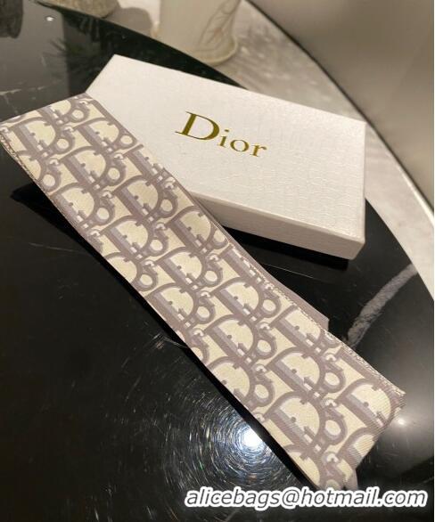 Pretty Style Dior Silk Bandeau DB22010326 Grey