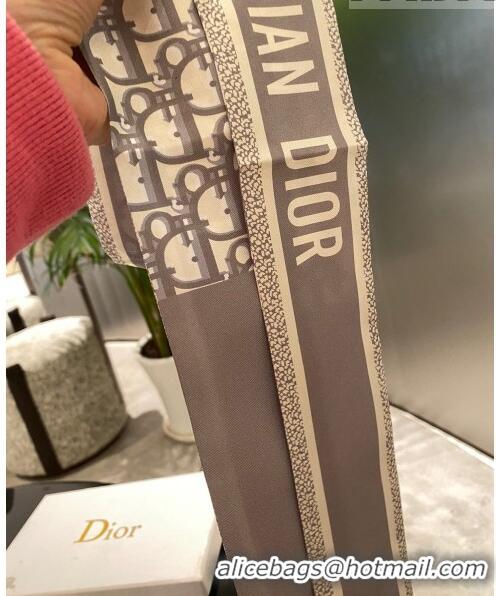 Pretty Style Dior Silk Bandeau DB22010326 Grey