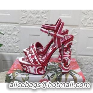 Lowest Price Dolce & Gabbana DG Printed Polished Calfskin Platform Sandals 15cm Fuchsia Pink 703109