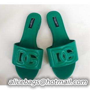 Lower Price Dolce & Gabbana DG Cutout Calfskin Flat Slide Sandals Green 071063