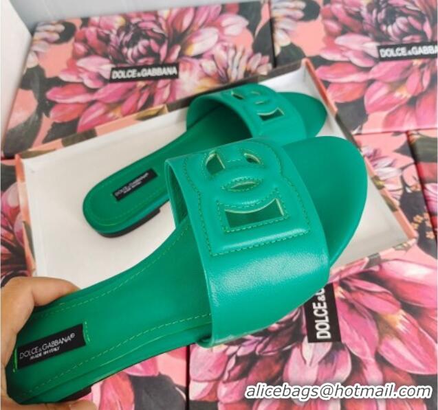 Lower Price Dolce & Gabbana DG Cutout Calfskin Flat Slide Sandals Green 071063