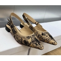 Sophisticated Dior J...