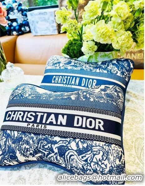 Grade Quality Dior Rectangular Pillow D0214 Blue 2023