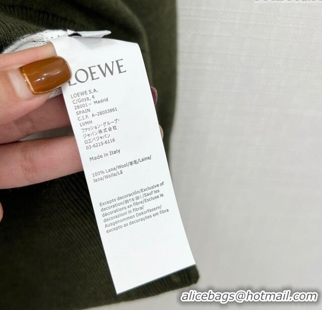 Famous Brand Loewe Wool Sweater L11313 Green 2024